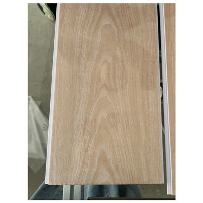 PVC griestu panelis Techo PVC