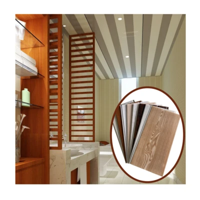 PVC griestu panelis Techo PVC