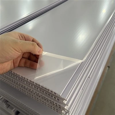 PVC griestu lapa